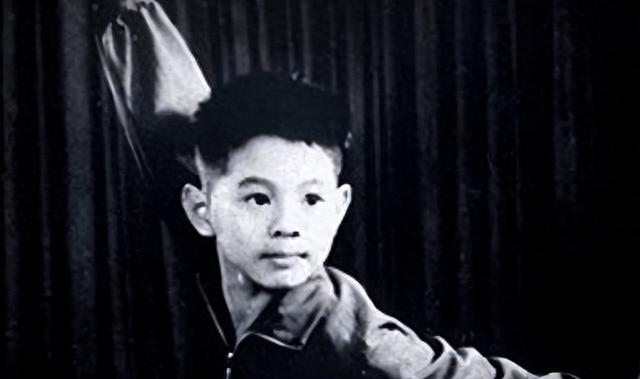 李连杰病情愈发严重,身家过亿却放弃治疗,利智痛哭:钱多有什么用?