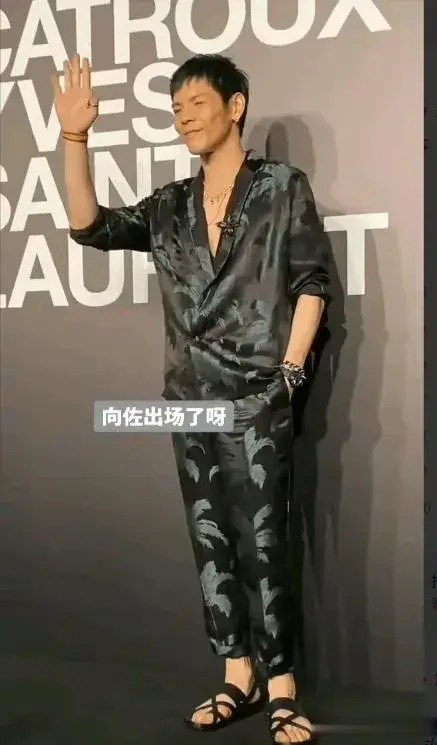 向佐这是连夜把头发剃了啊？头发正常了，这穿着又让人眼前一黑