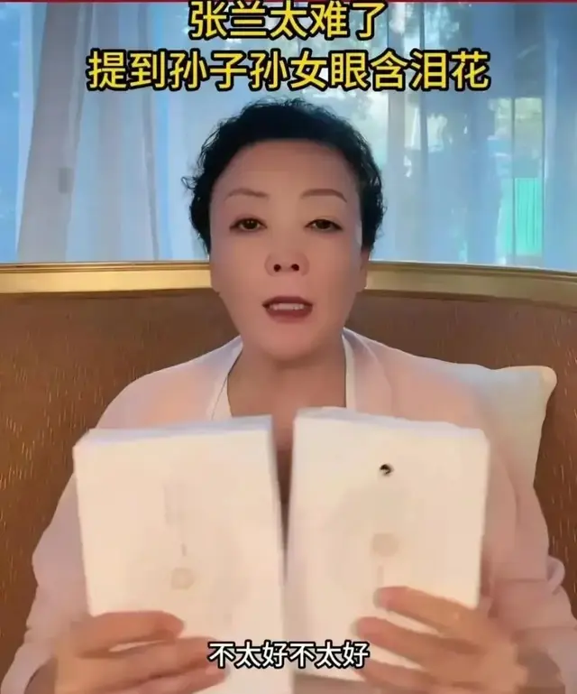 张兰直播哭诉汪小菲孩子近况，弟弟性格成忧，网友：大S太过分！