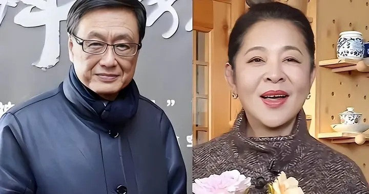 王文澜：与倪萍离婚不是“甩锅”眼疾儿子，真实原因曝光