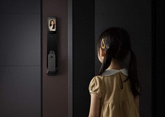 2025上半年智能门锁小米销量夺冠 华为把持线上高端市场