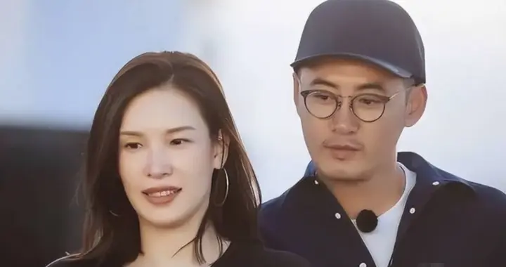 谢晖也没想到，不愿生娃的佟晨洁和魏巍也离婚了，自己却儿女双全