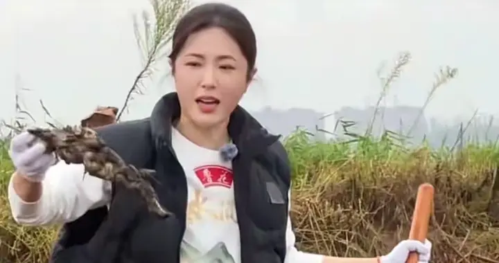 49岁曾黎扎进泥地挖藕超卖力，卫衣马甲穿搭，比路人还接地气