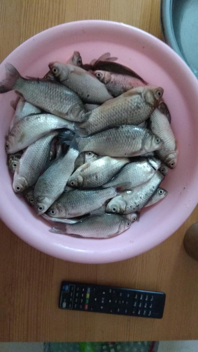 |两小时守一口，定向垂钓方兴未艾，你进阶了吗？