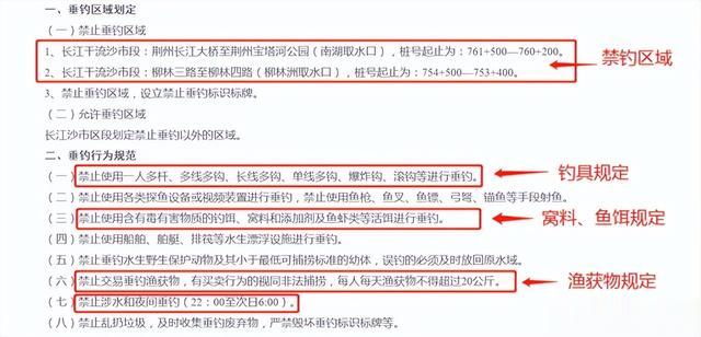 湖北长江干流段钓鱼新规：每天能带走40斤鱼，你能做到吗？