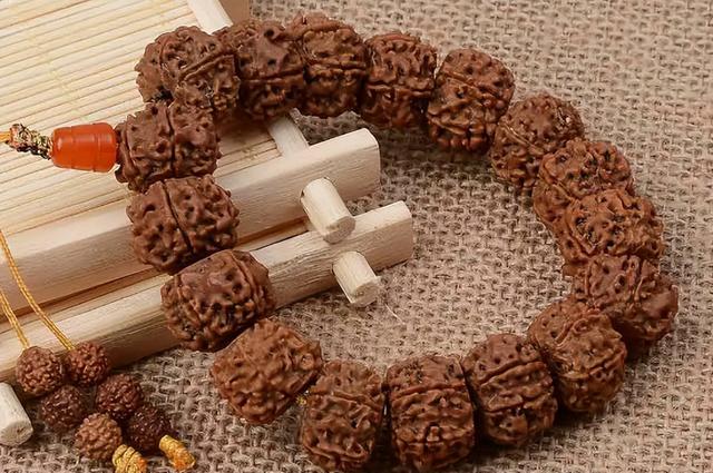 金刚菩提|金刚菩提手串禁忌