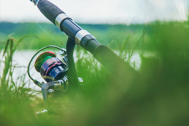 鲫鱼|钓鲫鱼和钓草洞，如何判断是否到底？