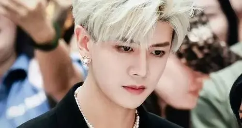 檀健次 任嘉伦 成毅 丁禹兮 张若昀 李昀锐 吴磊 许凯 娜扎 王星越 李兰迪