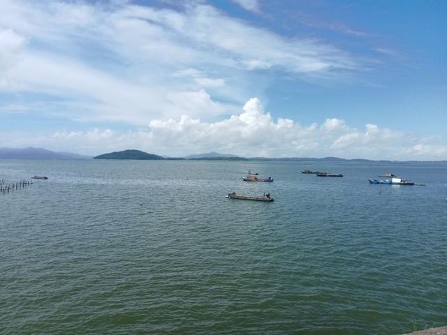 |2022年我还是那个称职的乌（鲻）鱼猎手！