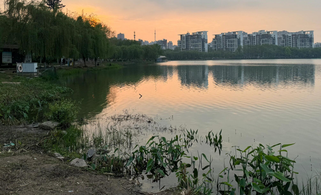 野钓调漂攻略，常钓鱼类调漂技巧，调几钓几一次说清楚