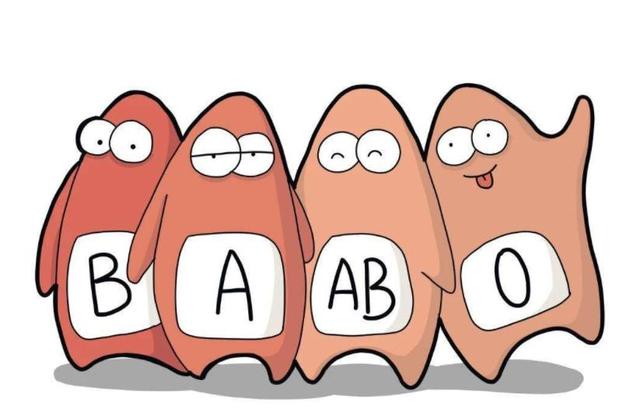 A型、B型、AB型、O型血的人，哪种血型的人身体好？不妨了解