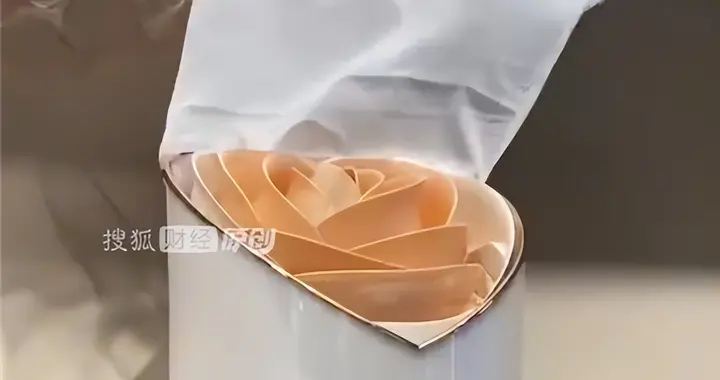 格力回应玫瑰空调争议：说丑的都是没见过的