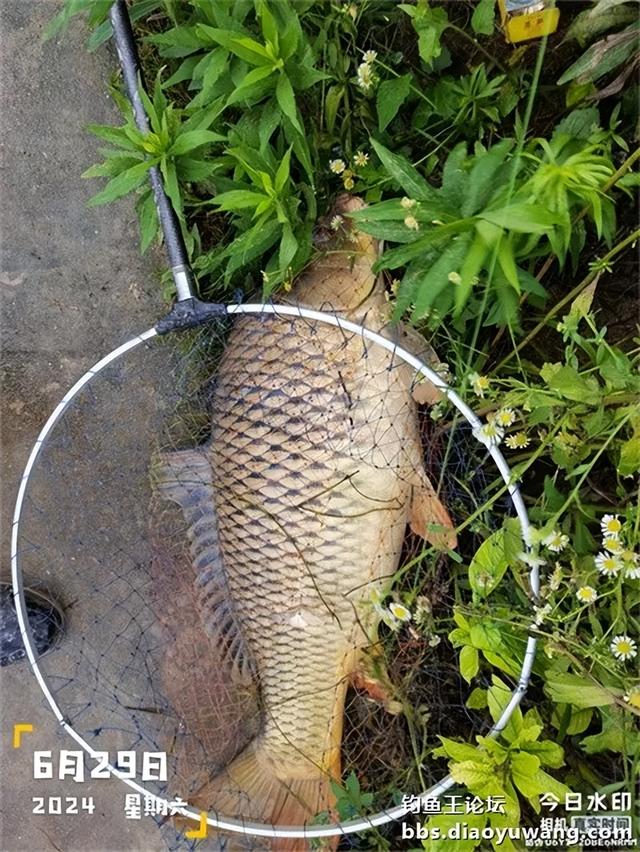 怒魂一出，谁与争锋