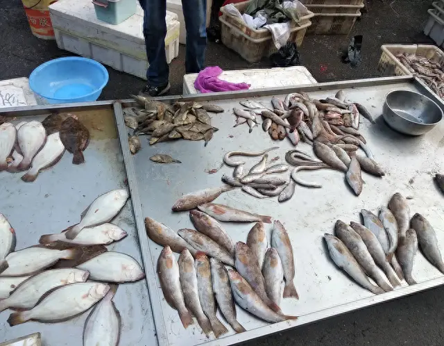 海鱼|多吃海鱼好，这5种海鱼很脏，含有大量重金属或寄生虫，建议少吃