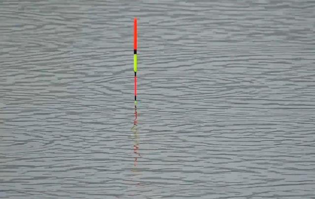 |钓鱼必抓的五大漂相，一顶、二黑、三顿、四抹、五接，你知道吗？