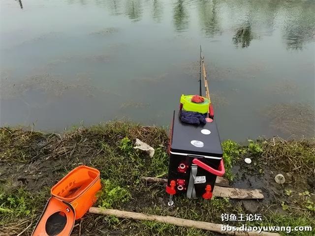 鲫鱼|带钓鱼王访友，一盆放流一碗带走