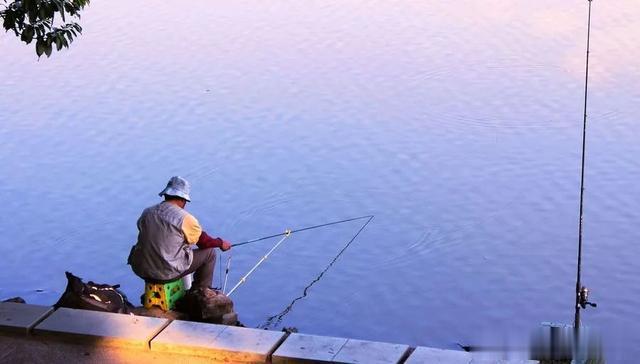 饵料|中年男人，为什么喜欢钓鱼？