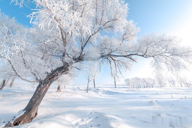 温泉|中国十大冬季旅游景点排行榜，冬天最适合去的地方