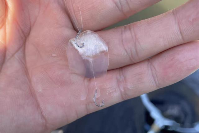 别让鱼钩在关键时刻掉链子！关于它的5个秘密你知道多少？