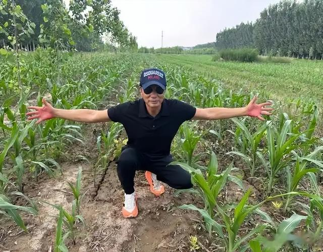 70岁任达华现状，收完麦子又来种玉米，“影帝”农忙季也得回家