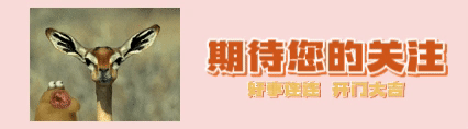 马斯克的母亲常年定居上海，也许这就是马斯克最后的退路…