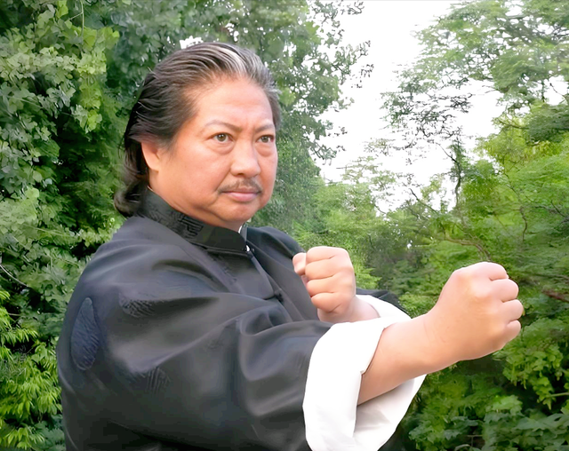 洪金宝曾祖父洪述祖：刺杀宋教仁的主凶，行绞刑时因太胖身首异处