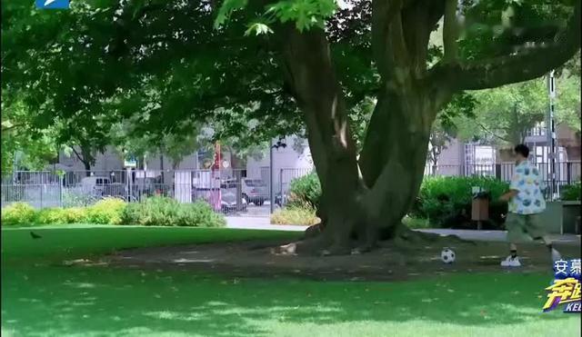 |郑恺苗苗高甜互动！《奔跑吧》匈牙利浪漫复刻《两小无猜》