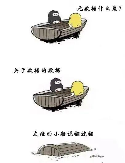 什么是元数据，全网最通俗易懂解释！