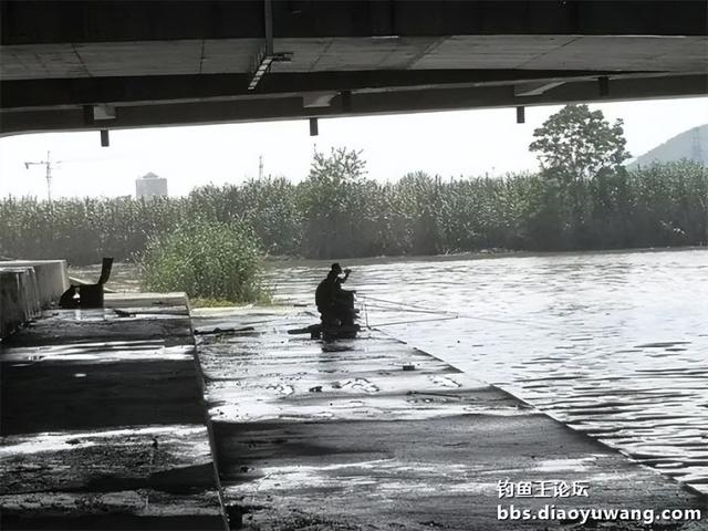 有心栽花，无心插柳