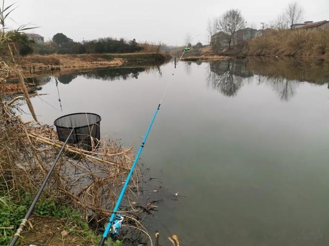 鲫鱼|筏竿串钩挂蚯蚓，冬日里最悠闲的作钓方式，轻松拿捏大板鲫