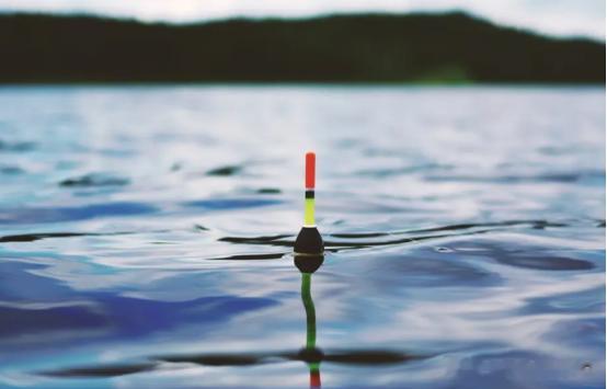 饵料|夏季钓鱼，钓位是根本，做好4点，大小水面都能钓，爆护也不难