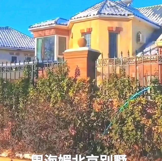 周海媚豪宅成荒芜之地：一生无子，遗产成难题