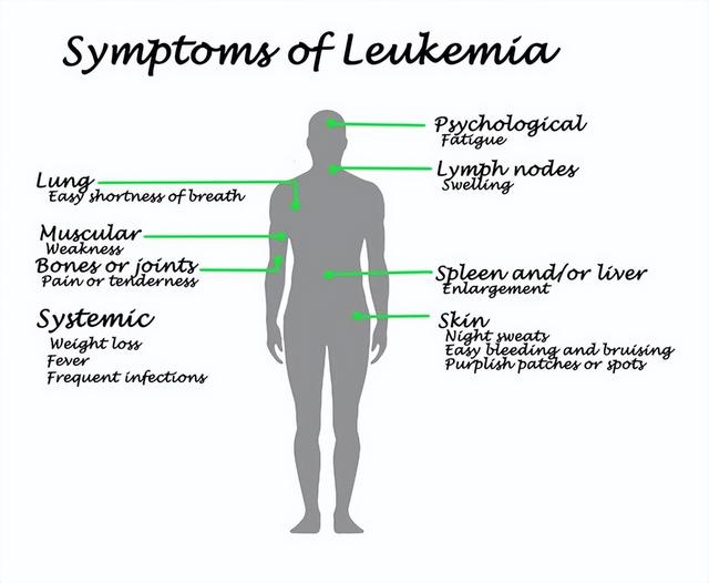提高代谢率的5种方法，坚持一个月，把代谢提上去，能瘦20斤