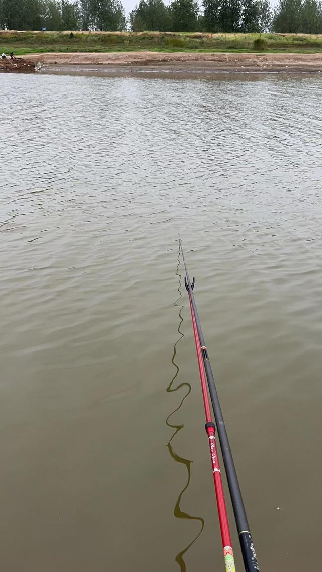 |如何垂钓黄尾鱼，有口打不到？望大师指导