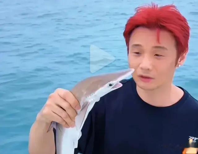 李荣浩40岁生日当天钓到了一条鲨鱼，网友：鲨鱼眼睛好像比他的大