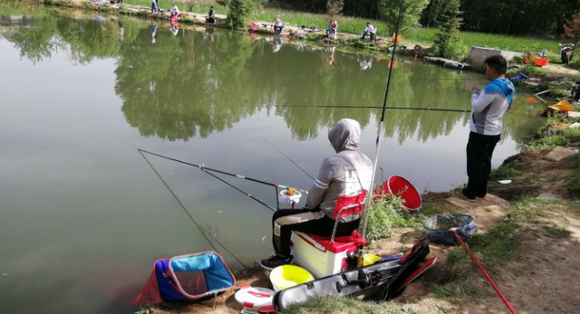 |补窝之后为什么没鱼了？补窝也要讲究方法