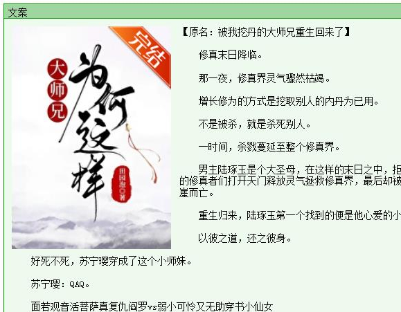 仙侠穿书言情文——《大师兄为何这样》