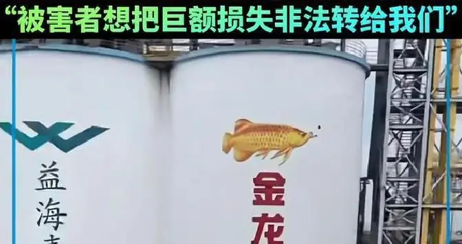 新加坡表态支持高市后，关联企业金龙鱼被罚18亿，凉得更快了