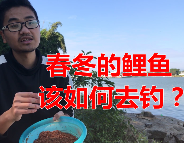 鲤鱼|春季如何野钓鲤鱼？一窝二饵三频率，简单三步鲤鱼乖乖入护
