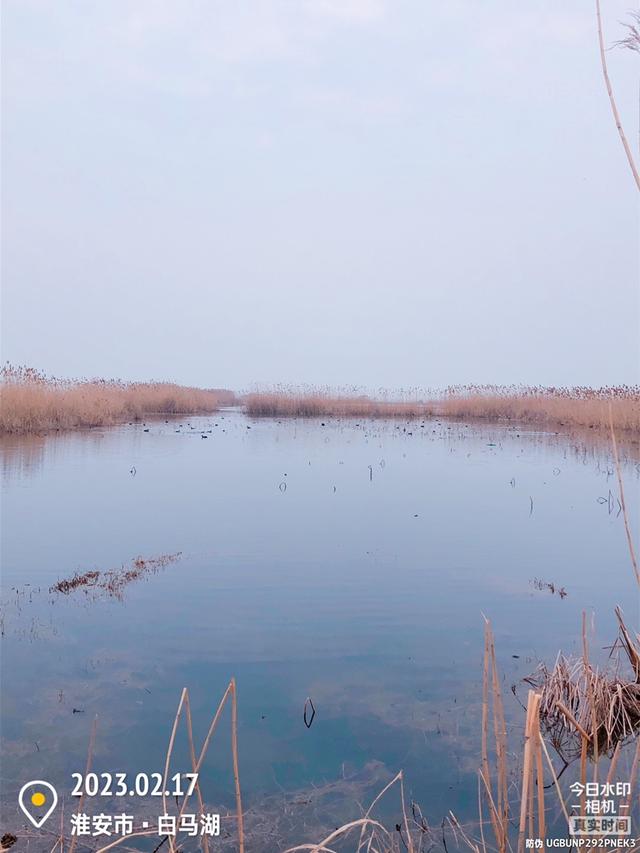 |再遇糗事，求助钓友，好人有好报