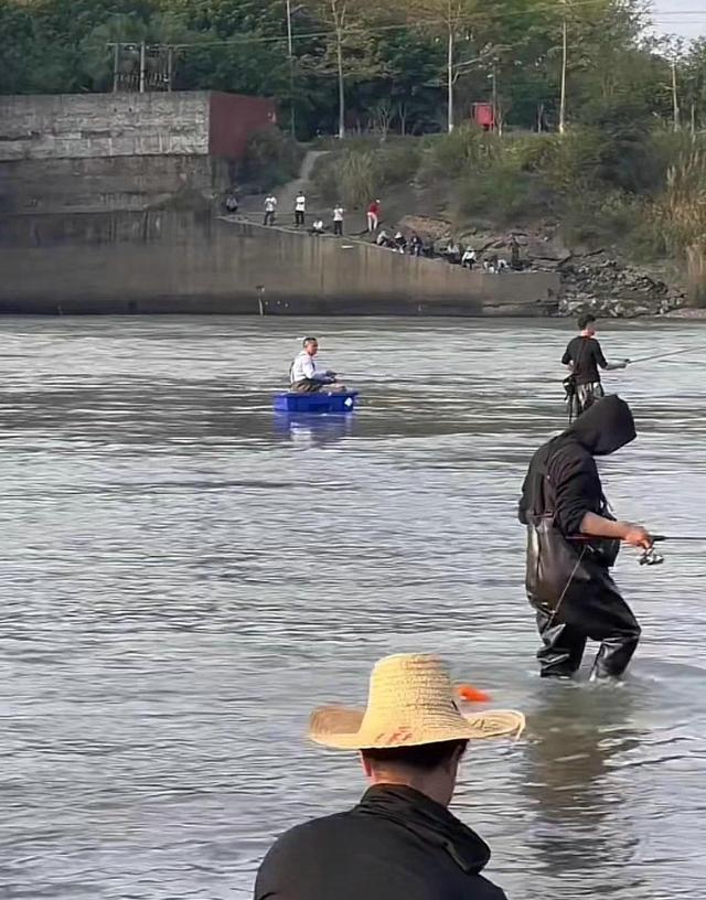 福建省|福建一水电站下石斑鳜爆发，老乡：一直以为河里只有罗非鱼