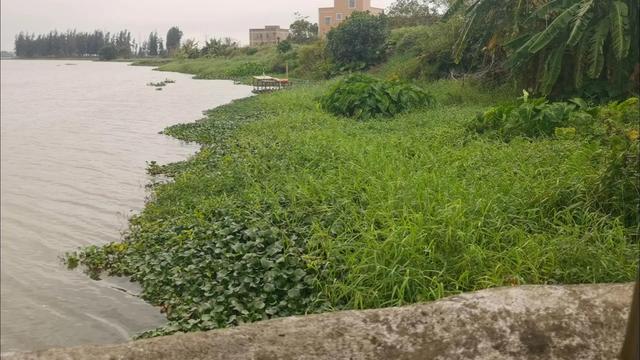 夜钓|诱鱼进窝才是钓鱼的重点，鱼没进窝主要有几个原因？