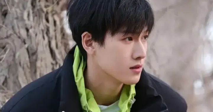 成毅、王鹤棣、吴磊、王安宇、龚俊、王星越、李昀锐张若昀