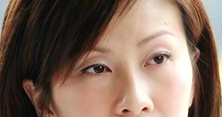 港星女神 \陈慧珊