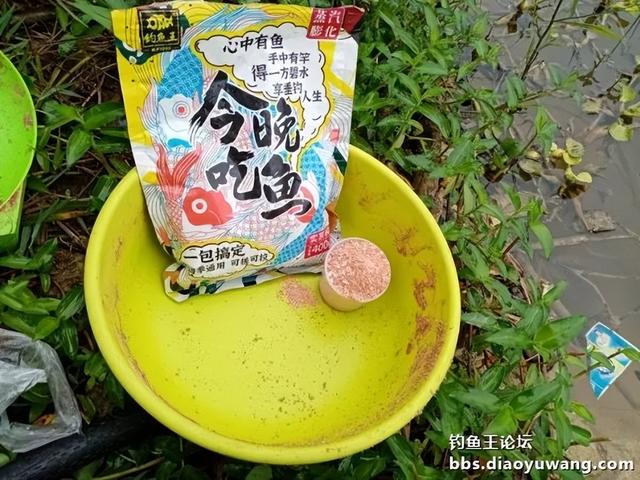 饵料|寒风萧萧鱼口好，猫非造反来凑热闹！！