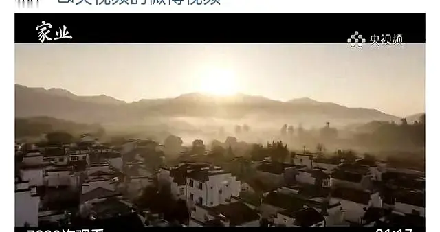 央视频、新华社连续发杨紫主演的《家业》透露什么信号？