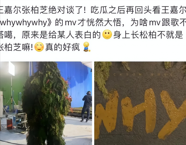 张柏芝长时间停更社交账号，陷入四胎大瓜，疑似被曝生父是王嘉尔