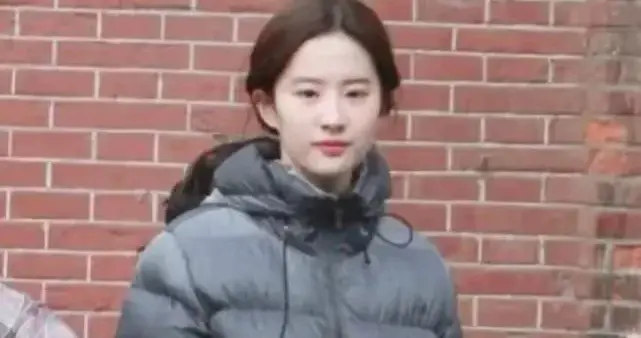 刘亦菲，这真是人好看，穿什么都好看