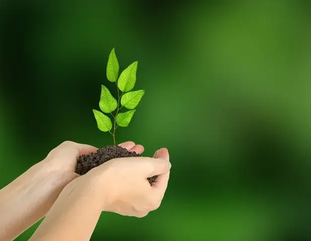 贪小便宜吃大亏 那年给女儿买手机 让我后悔万分