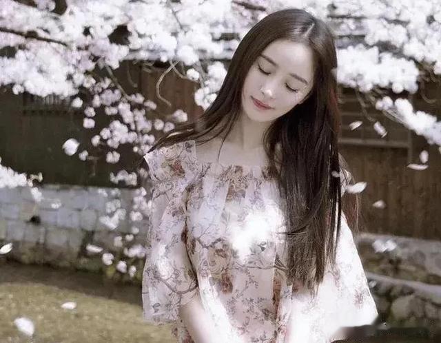 杨幂|美丽的小狐狸杨幂